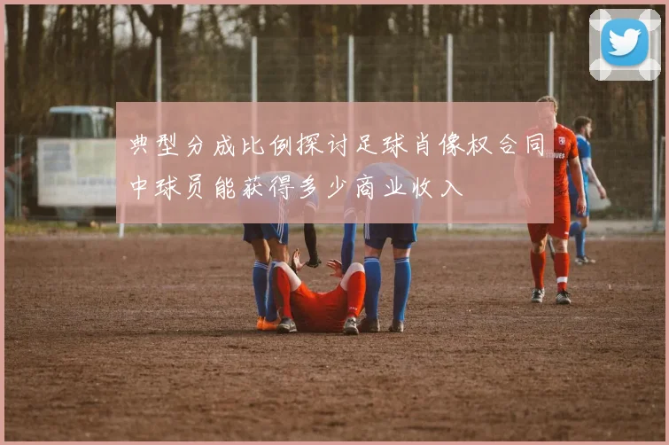 典型分成比例探讨足球肖像权合同中球员能获得多少商业收入
